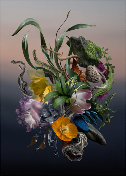 James Roper Art – jamesroperart.store